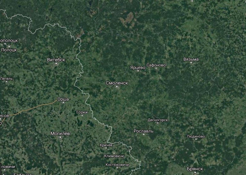 Кто много лет вырубал «незаметно» для власти леса в Смоленской области