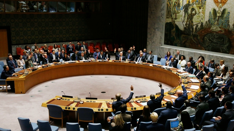 Совбез ООН возобновил заседание после перерыва из-за флага Косово