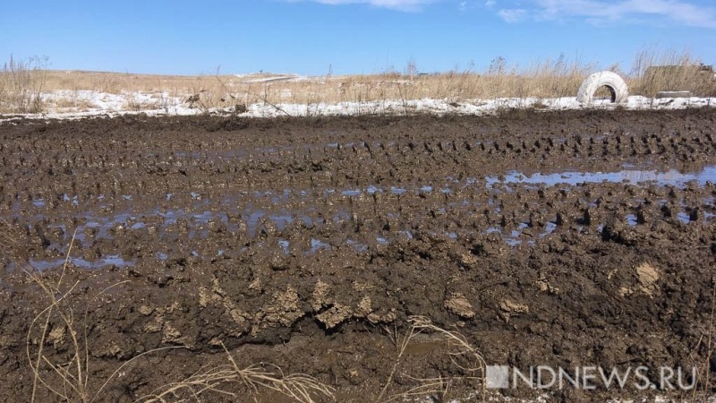 Архивы «Нового Дня». Взлетная полоса в... Гарях