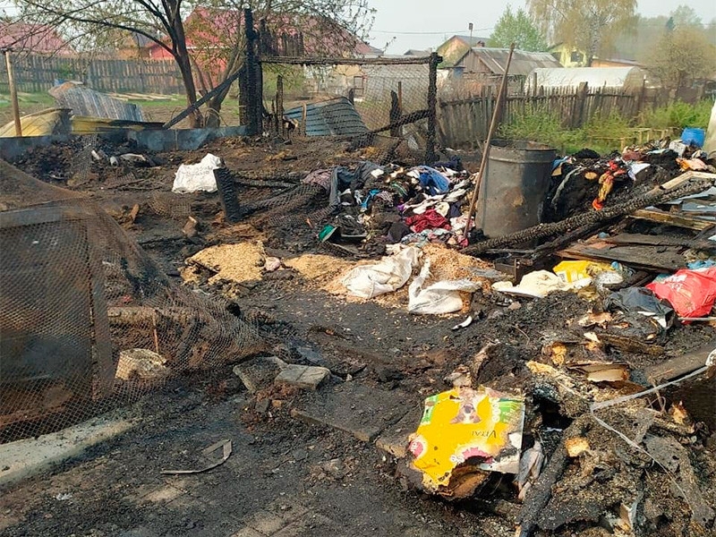 В Свердловской области сожгли приют для животных, погибло более 30 собак