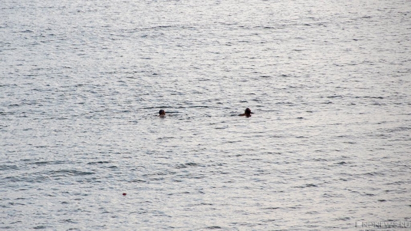 «Группа дельфинов в камуфляжных купальниках»: спасатели, сопровождавшие главу Крыма, заплыли в мемы