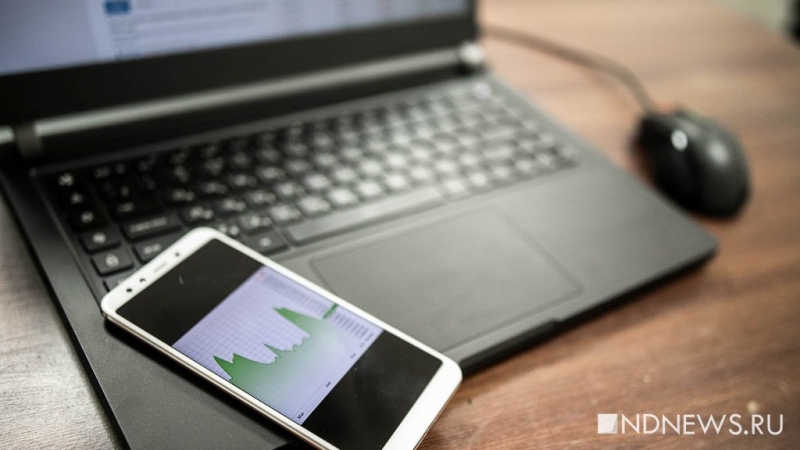 «Вакханалия и перепрошивка мозгов»: член СПЧ назвал цифровое пространство диким полем