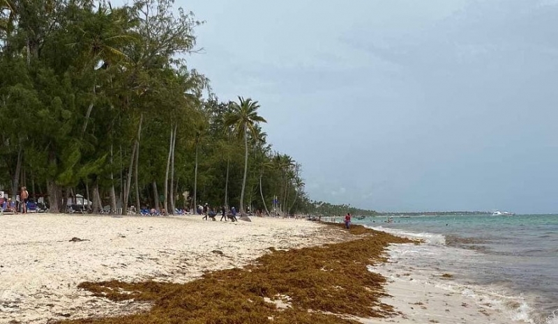 Отели в Доминикане борются с нашествием водорослей