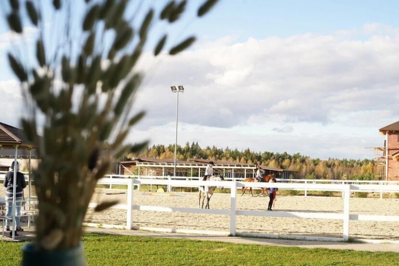 В Черноголовке построят современный комплекс для развития конного спорта России
