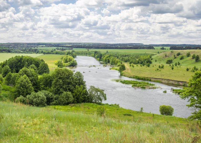 В Ярославской области расчистят 9,2 км русла реки Сара по федеральной программе