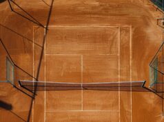 Аренда корта: кому и когда может быть интересна