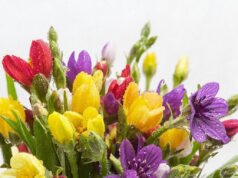 Доставка цветов в Екатеринбурге: подари радость близкому человеку